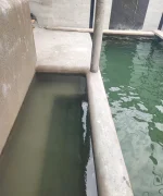 تأسیسات استخر در بابل